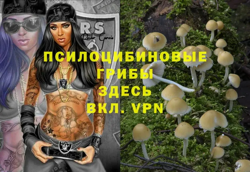 Псилоцибиновые грибы Magic Shrooms  hydra зеркало  это наркотические препараты  Кораблино 